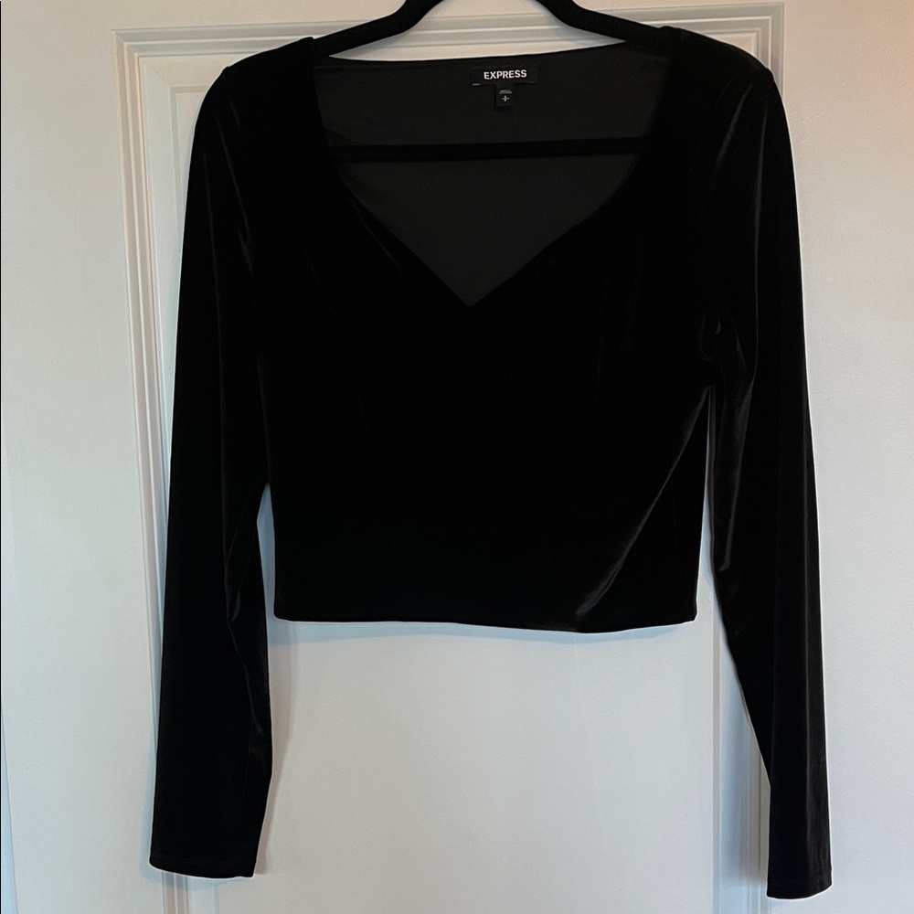 Express Black Velvet Crop Top